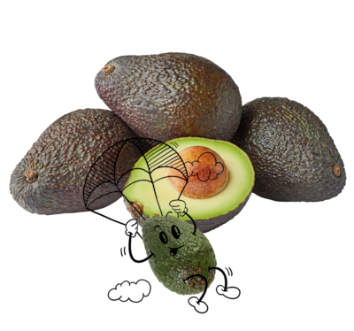 NATURGUT Bio Avocado