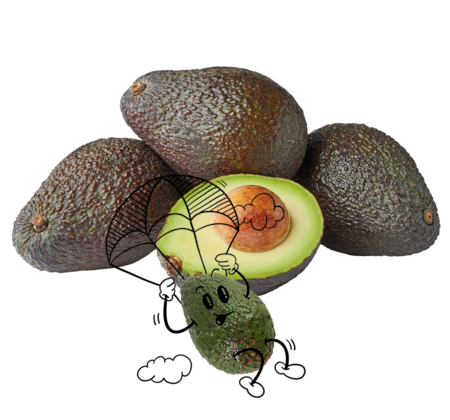 NATURGUT Bio Avocado