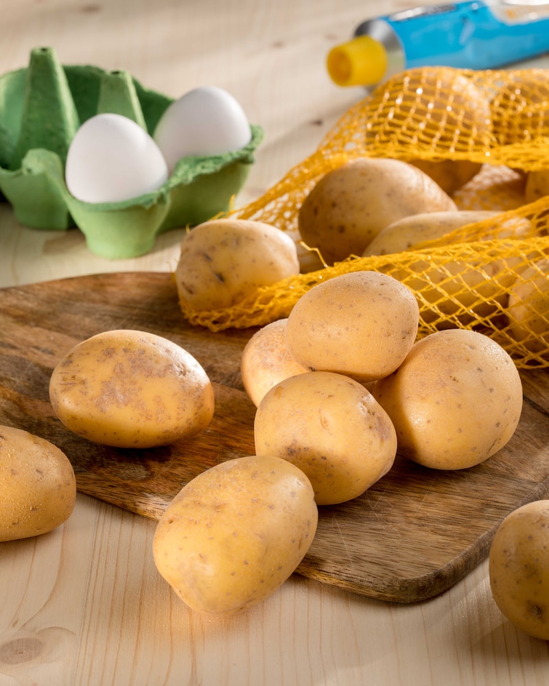 Auf diesem Bild siehst du kleine Kartoffeln.