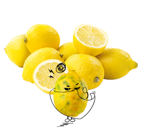 NATURGUT Bio Zitrone