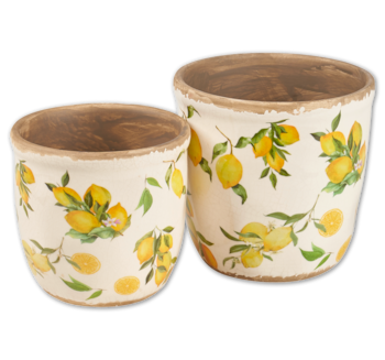 Deko-Pflanztöpfe*