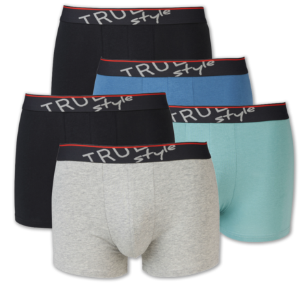 TRUE STYLE Herren-Retroshorts 9.99