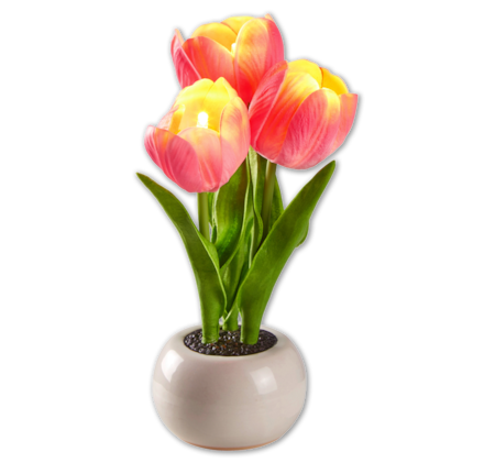 HOME IDEAS Seasons LED-Tulpen im Topf*