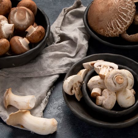 Auswahl verschiedener Pilze