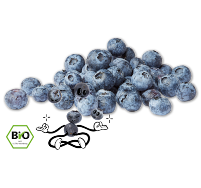 NATURGUT Bio-Heidelbeeren*