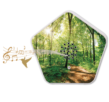 OLYMP SOUNDS OF NATURE-Box 14.99