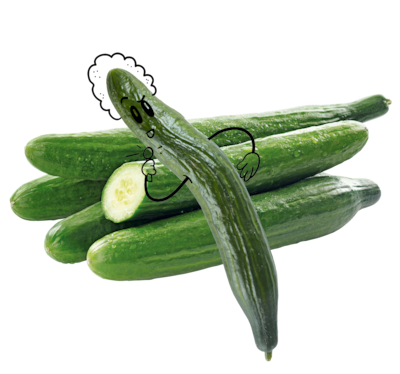 NATURGUT Bio Gurke