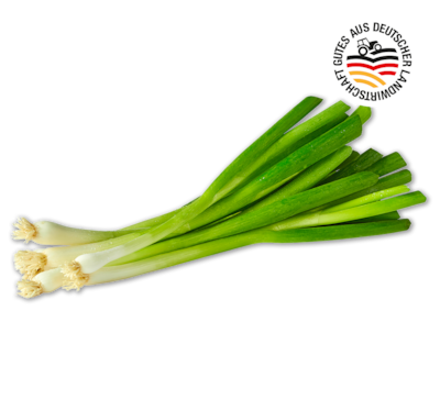 Deutsche Lauchzwiebeln