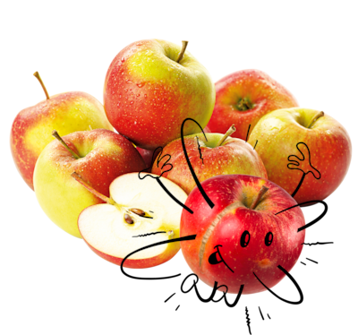 NATURGUT Bio Apfel