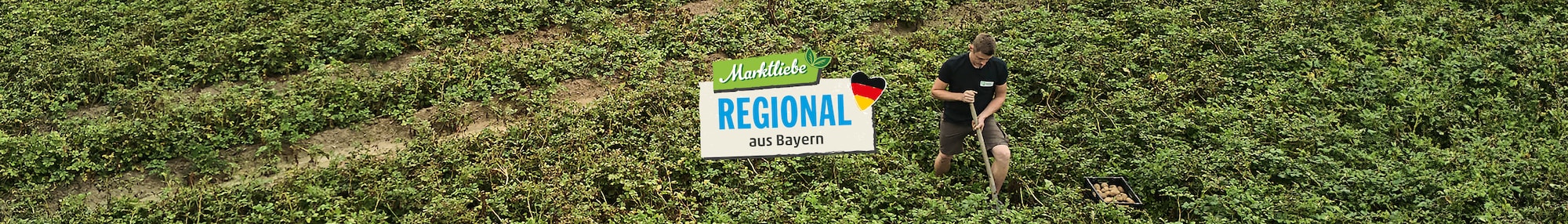 Das Markliebe Regional aus dem Südwesten Logo vor einem Rotkohlfeld