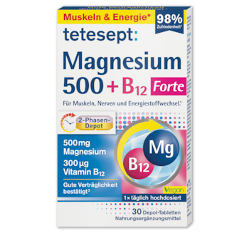 TETESEPT Magnesium 500 + B12*