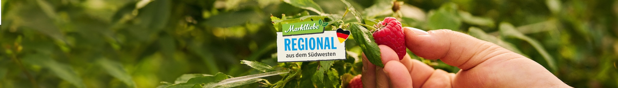 Das Markliebe Regional aus dem Südwesten Logo vor einem Rotkohlfeld