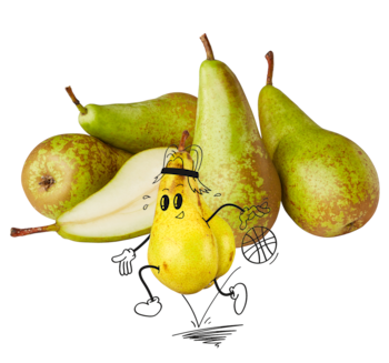 NATURGUT Bio Birne