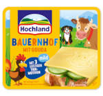 HOCHLAND Sandwichscheiben 1.69