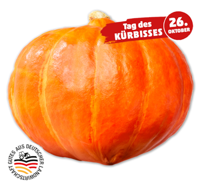 Deutscher Hokkaidokürbis 0.88