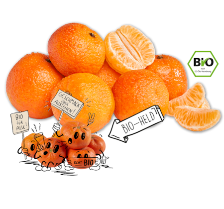 NATURGUT Bio-Mandarinen