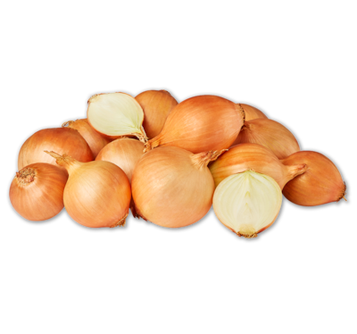 Zwiebeln*