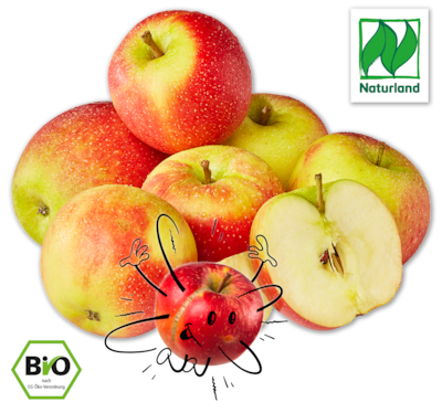 NATURGUT Bio-Äpfel 1.99