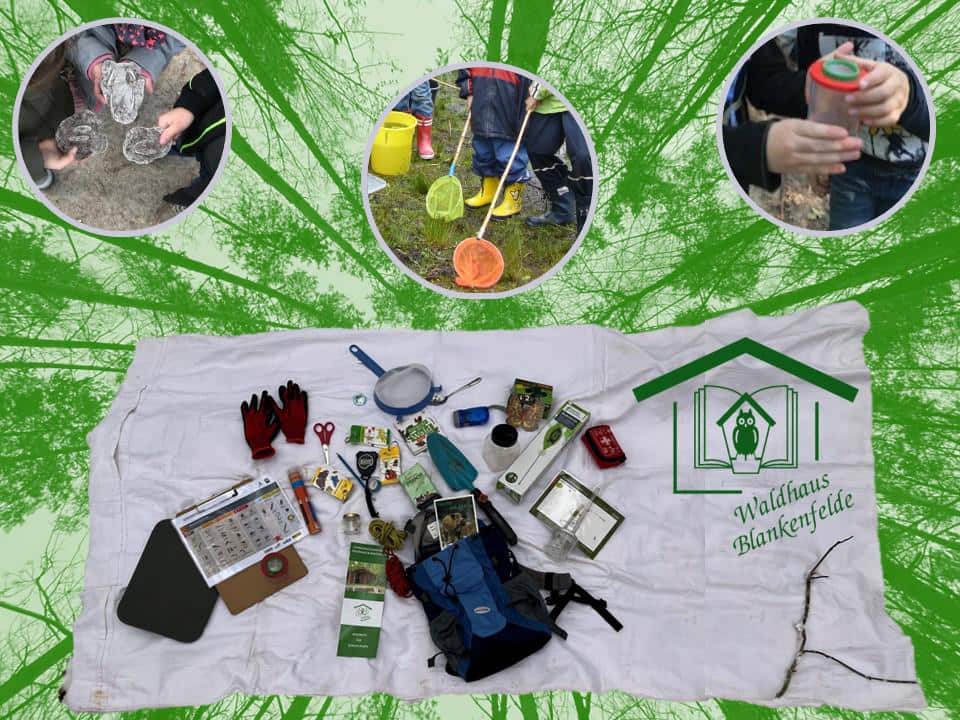 Collage von Kindern auf Entdeckertour durch die Natur