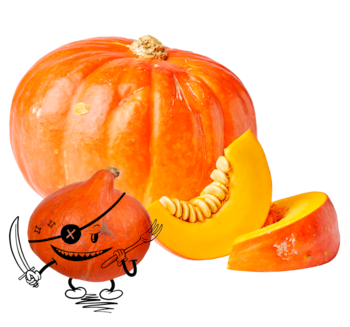 NATURGUT Bio-Hokkaido