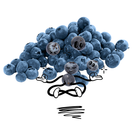 NATURGUT Bio Heidelbeere