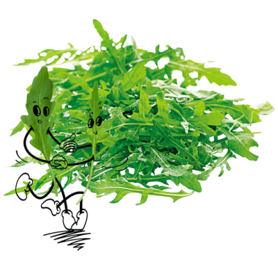 NATURGUT Bio Rucola Salat