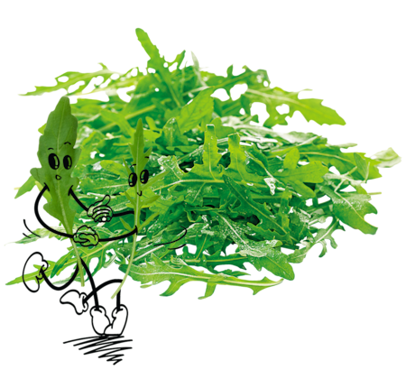 NATURGUT Bio Rucola Salat