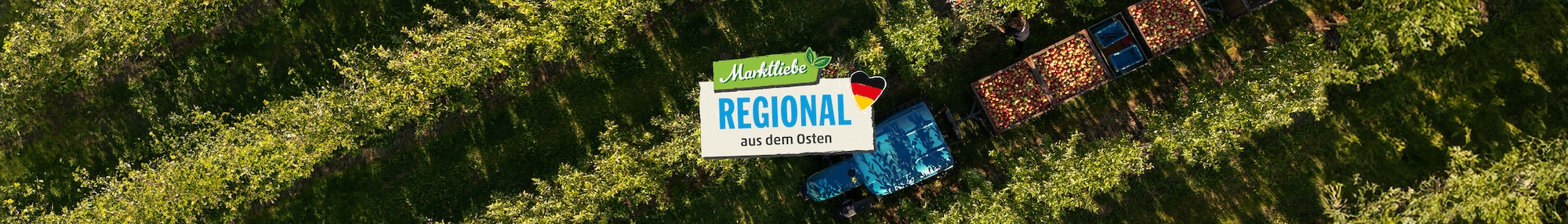 Das Markliebe Regional aus dem Südwesten Logo vor einem Rotkohlfeld