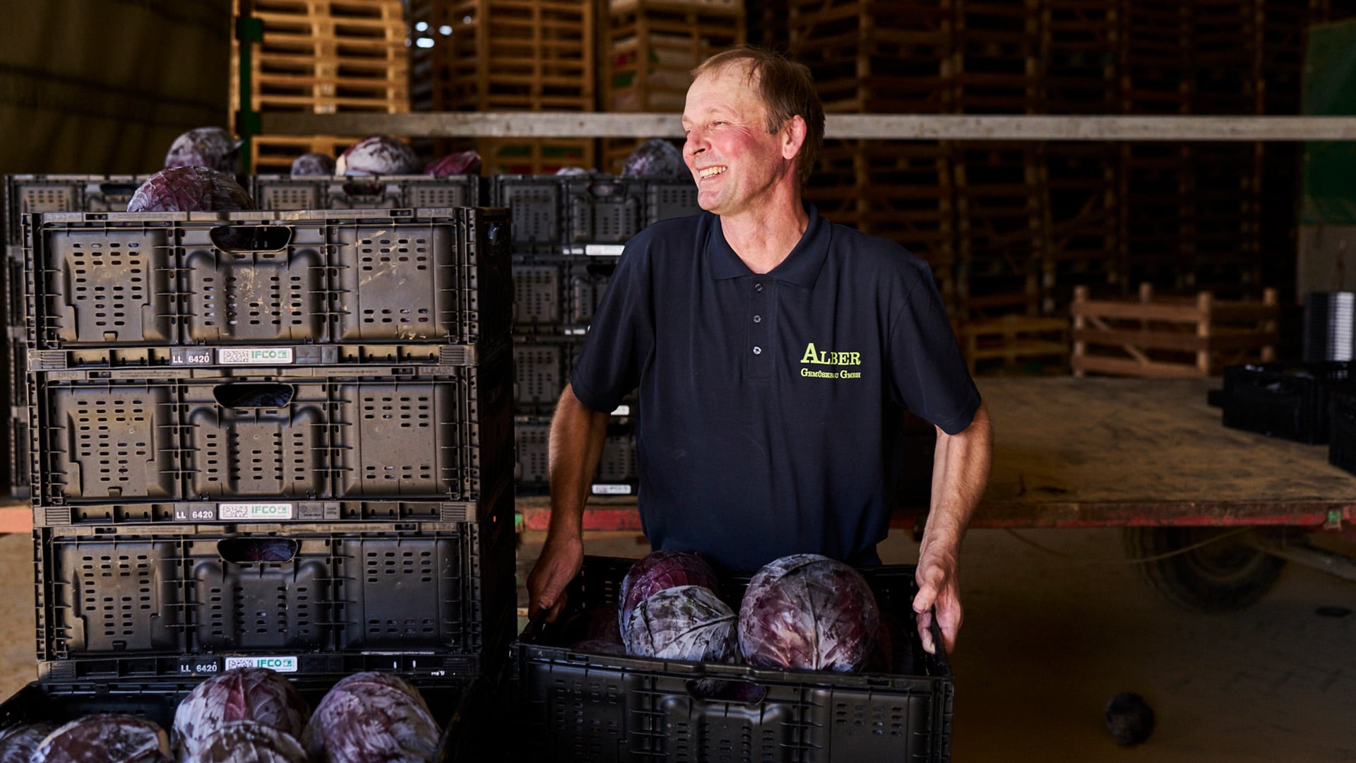 Gemüselandwirt Jörg Alber mit seinem Rotkohl