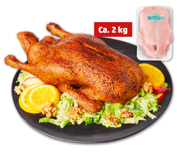 Junge bayrische Ente*