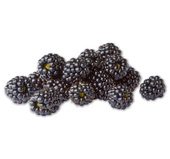 Brombeeren