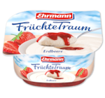 EHRMANN Früchte-, Vanille-  oder Grießtraum 0.49