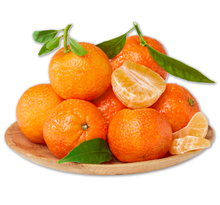 BEST MOMENTS Blatt-Goldschätze Clementinen*