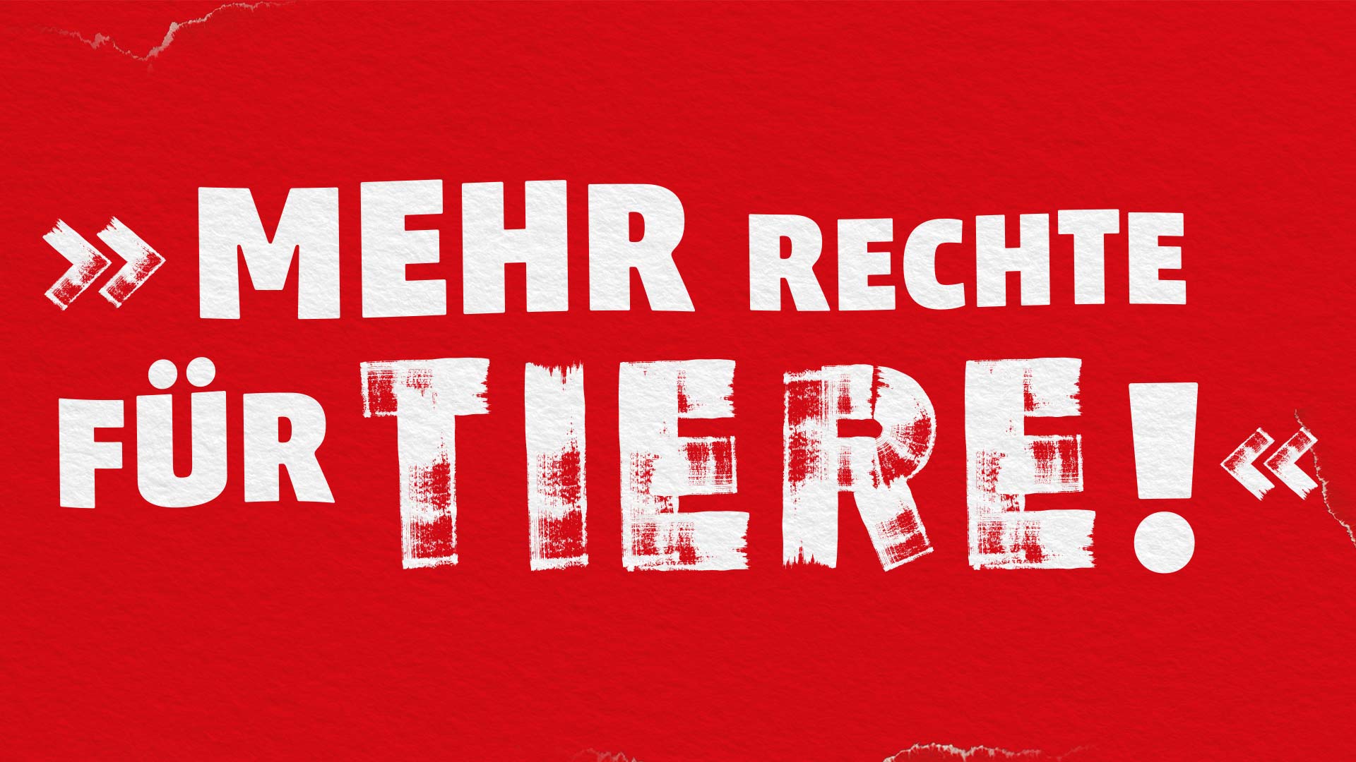 Ein Zitat in weißer Schrift auf rotem Hintergrund: Mehr Rechte für Tiere!
