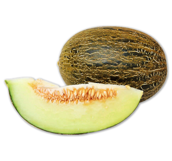 Melone Futuro 1.11