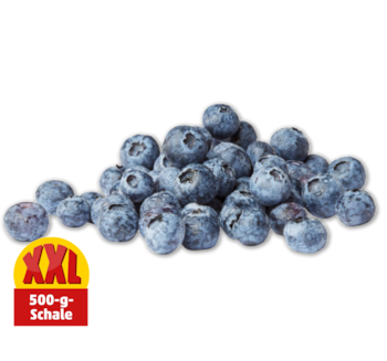 Heidelbeeren*