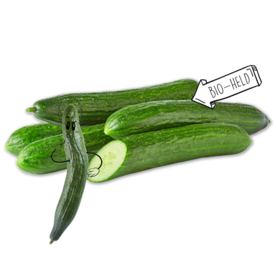 NATURGUT Bio-Gurke 0.89
