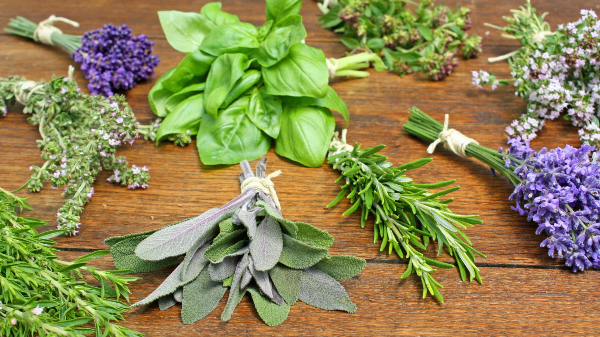 PENNY-Kräuter-1920x1080