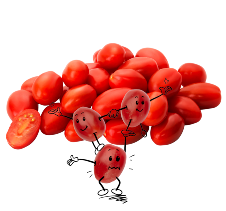 NATURGUT Bio Cherry Tomaten
