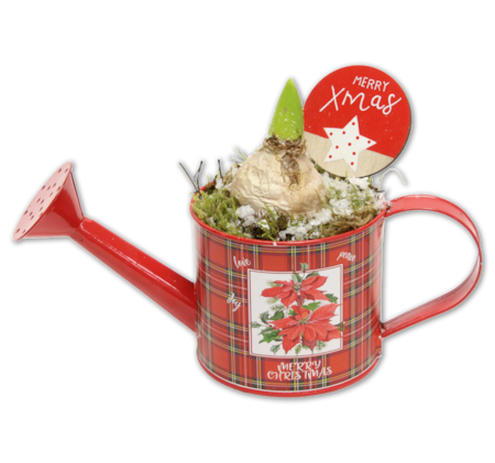 Bepflanzte Zinkgießkanne*