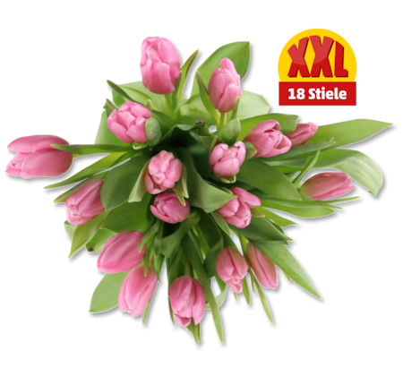 Tulpen Multipack*