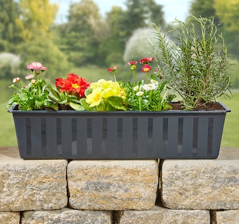 Balkonkasten mit Wasserreservoir*