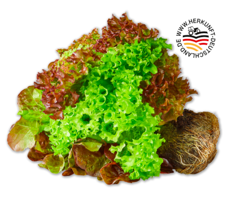 Deutsche bunte Salate mit Wurzel