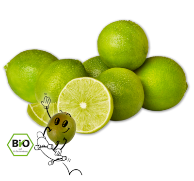 NATURGUT Bio-Limetten 1.29