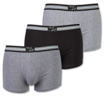 TRUE STYLE Herren-Retroshorts*