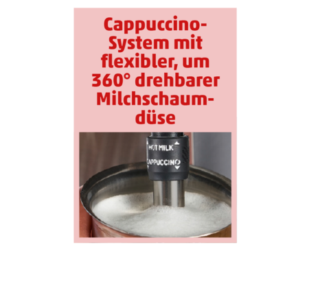 DE LONGHI Siebträgermaschine LINEA CLASSIC EM 450.M 79.99