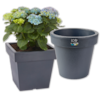 PROSPERPLAST Blumenkübel LOFLY 3.99