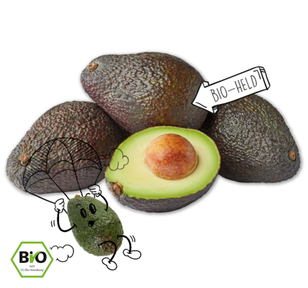 NATURGUT Bio-Avocado