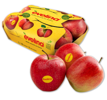 EVELINA Deutsche rote Äpfel 1.99