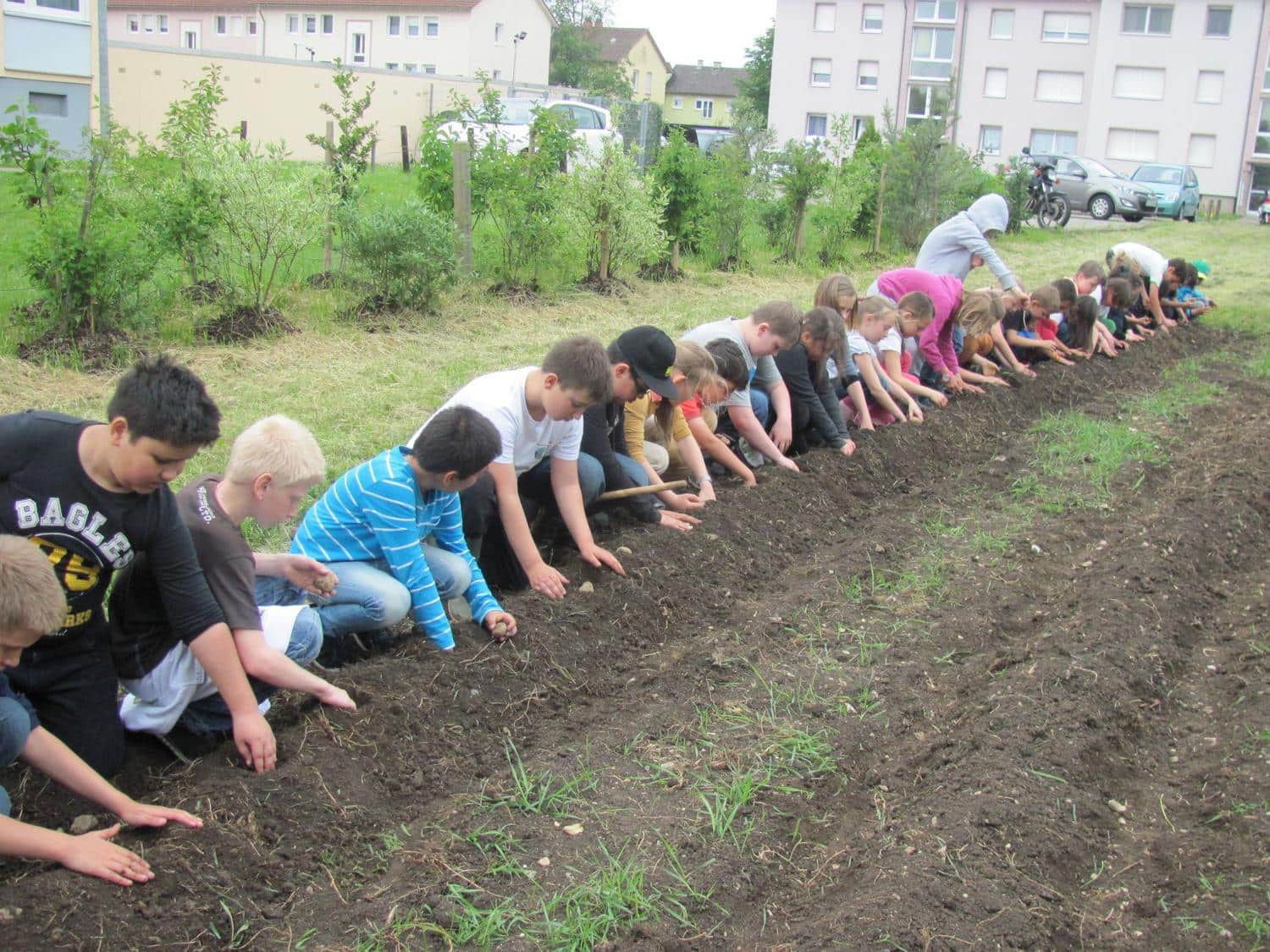 Kinder pflanzen Gemuese in die Erde